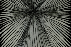 Project_4